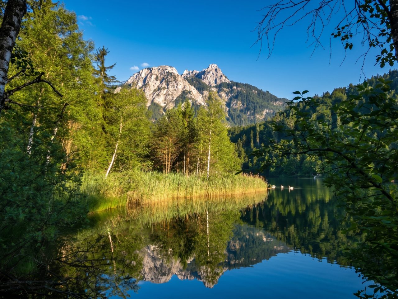 Schwansee